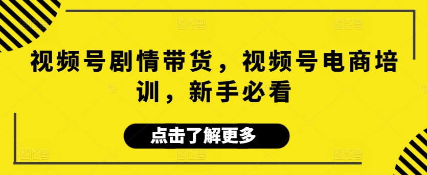 视频号剧情带货，视频号电商培训，新手必看-枫客网创