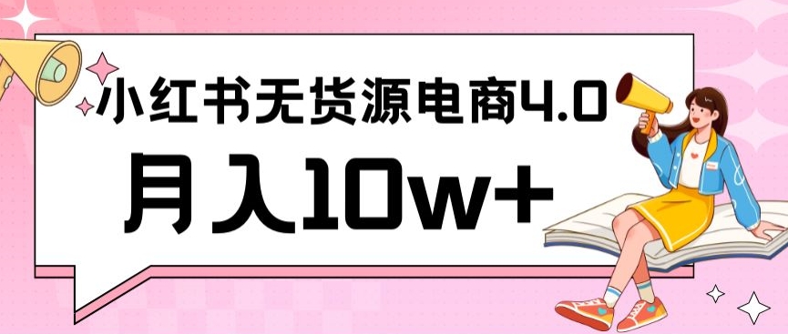 小红书新电商实战，无货源实操从0到1月入10w+联合抖音放大收益-枫客网创