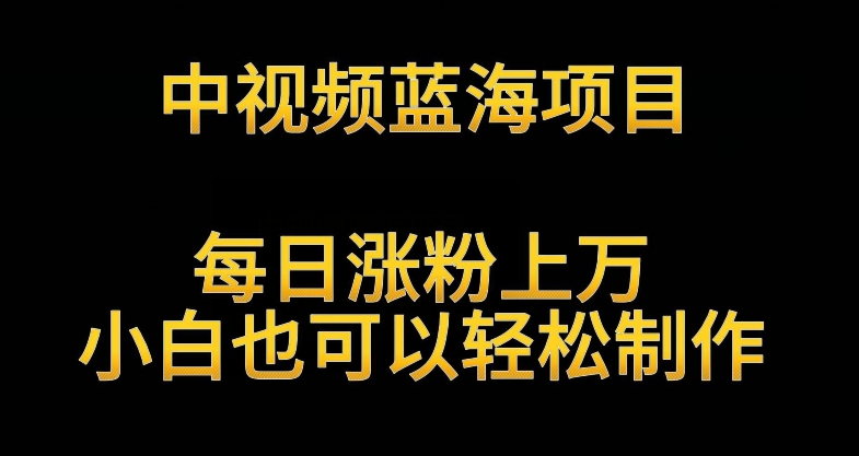 中视频蓝海项目，解读英雄人物生平，每日涨粉上万，小白也可以轻松制作，月入过万不是梦-枫客网创