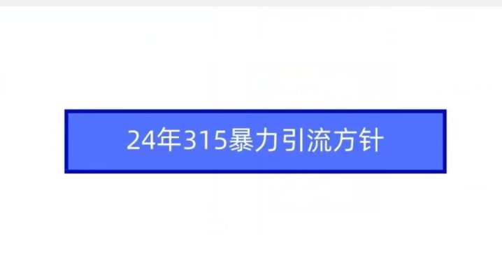 24年315暴力引流方针-枫客网创