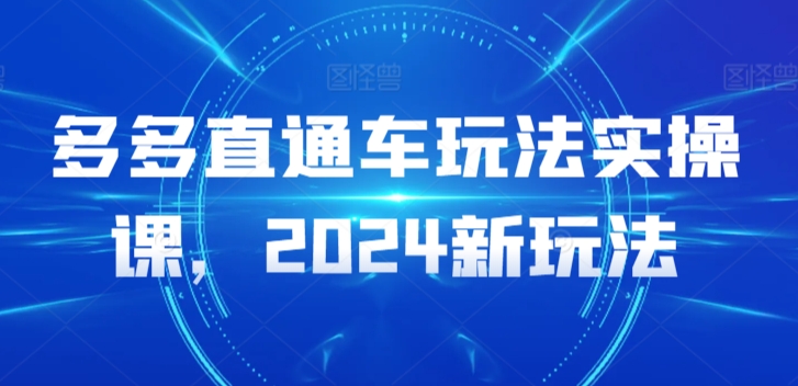 多多直通车玩法实操课，2024新玩法-枫客网创