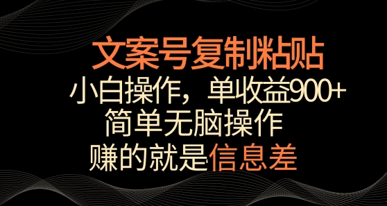 文案号掘金，简单复制粘贴，小白操作，单作品收益900+-枫客网创