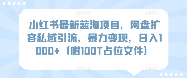 小红书最新蓝海项目，网盘扩容私域引流，暴力变现，日入1000+（附100T占位文件）-枫客网创