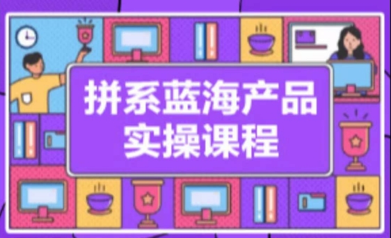 拼系冷门蓝海产品实操课程，从注册店铺到选品上架到流量维护环环相扣-枫客网创