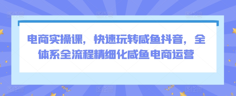 电商实操课，快速玩转咸鱼抖音，全体系全流程精细化咸鱼电商运营-枫客网创