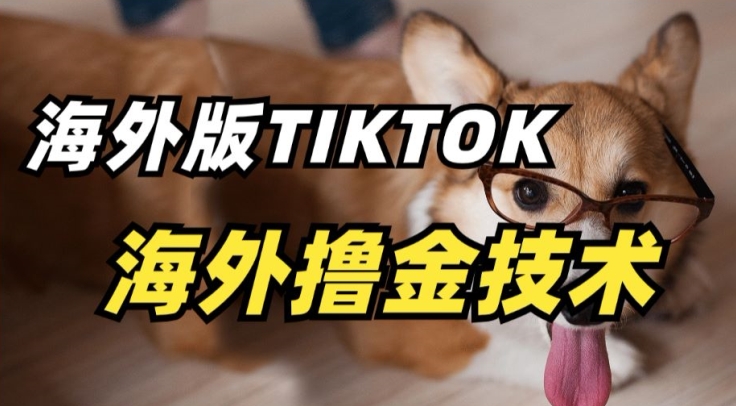 抖音海外版tiktok撸金技术，这个风口行业，赚钱真的不难-枫客网创