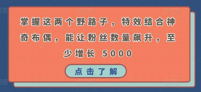 掌握这两个野路子，特效结合神奇布偶，能让粉丝数量飙升，至少增长 5000-枫客网创