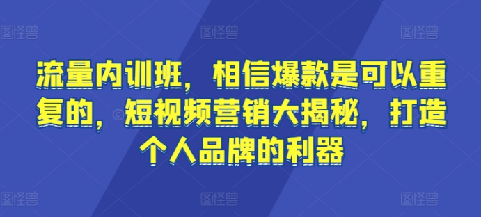 流量内训班，相信爆款是可以重复的，短视频营销大揭秘，打造个人品牌的利器-枫客网创