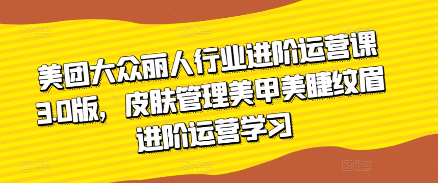 美团大众丽人行业进阶运营课3.0版，皮肤管理美甲美睫纹眉进阶运营学习-枫客网创