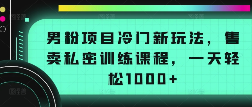 男粉项目冷门新玩法，售卖私密训练课程，一天轻松1000+-枫客网创