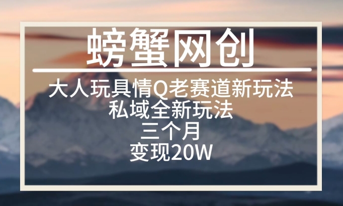 大人玩具情Q用品赛道私域全新玩法，三个月变现20W，老项目新思路-枫客网创