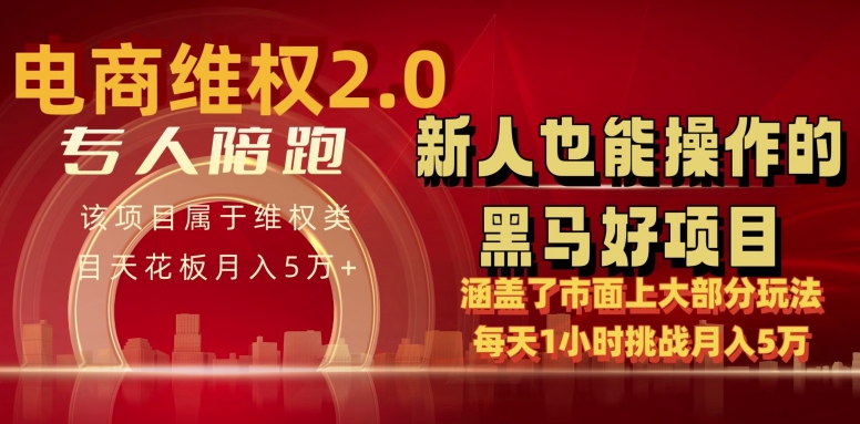 电商维权 4.0 如何做到月入 5 万+每天 1 小时新人也能快速上手【仅揭秘】-枫客网创