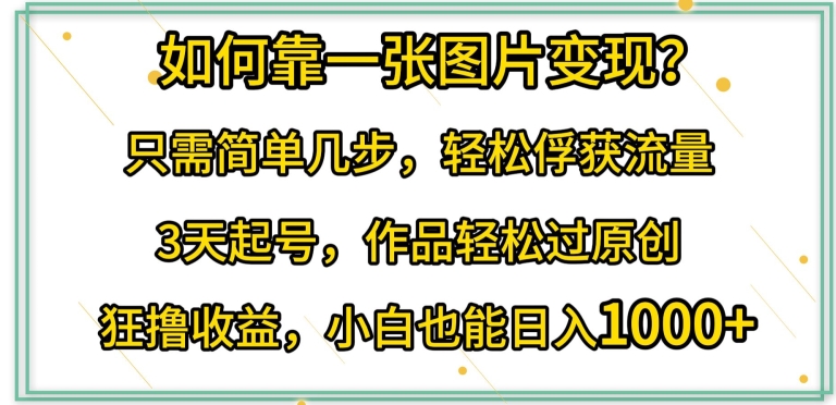 如何靠一张图片变现?只需简单几步，轻松俘获流量，3天起号，作品轻松过原创-枫客网创