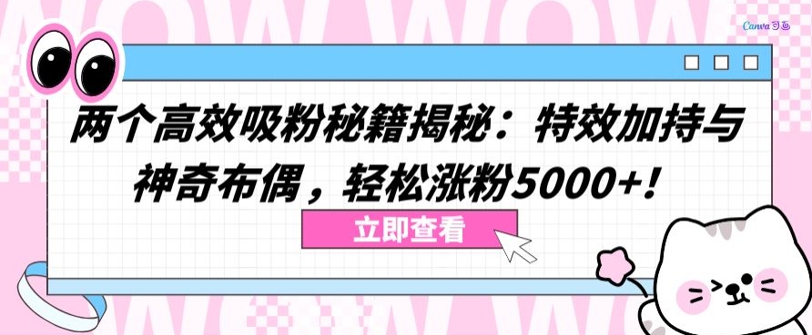 两个高效吸粉秘籍揭秘：特效加持与神奇布偶，轻松涨粉5000+-枫客网创