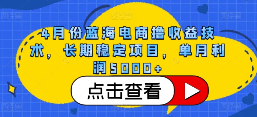 4月份蓝海电商撸收益技术，长期稳定项目，单月利润5000+-枫客网创