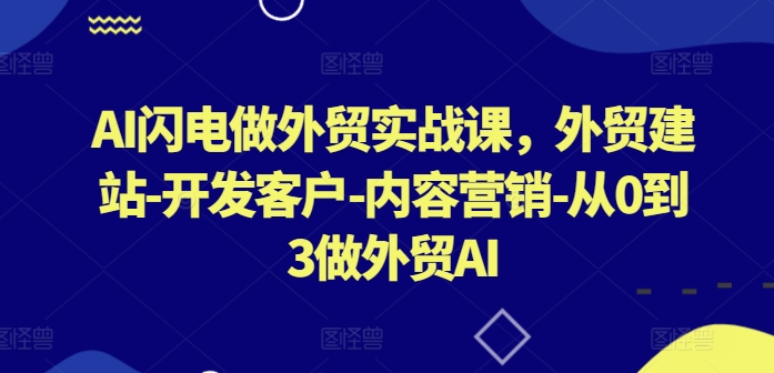 AI闪电做外贸实战课，​外贸建站-开发客户-内容营销-从0到3做外贸AI-枫客网创