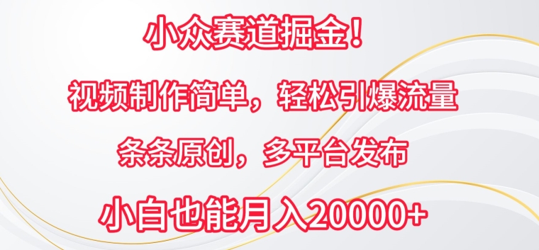 小众赛道掘金，视频制作简单，轻松引爆流量，条条原创，多平台发布-枫客网创