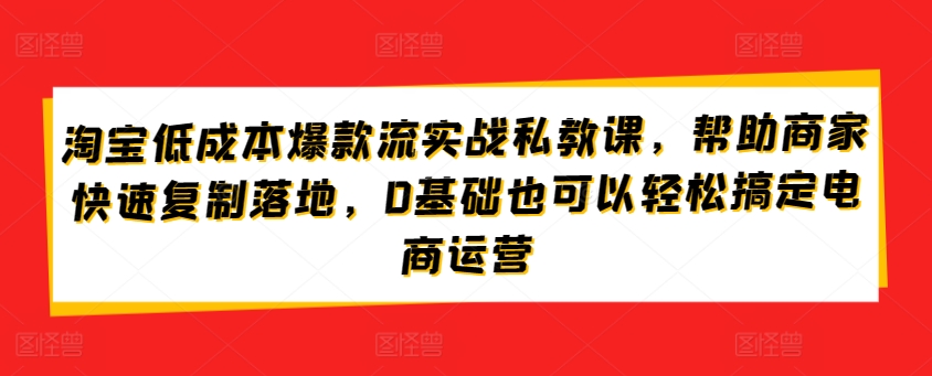 淘宝低成本爆款流实战私教课，帮助商家快速复制落地，0基础也可以轻松搞定电商运营-枫客网创