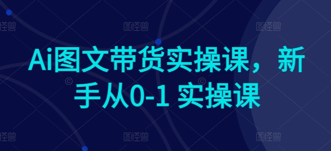 Ai图文带货实操课，新手从0-1 实操课-枫客网创