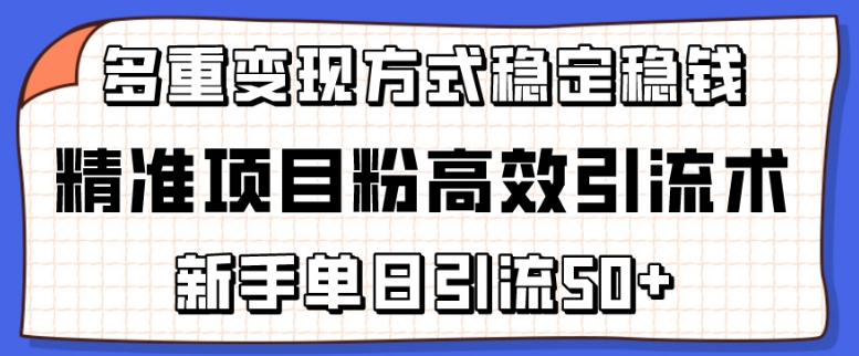 精准项目粉高效引流术，新手单日引流50+，多重变现方式稳定赚钱-枫客网创