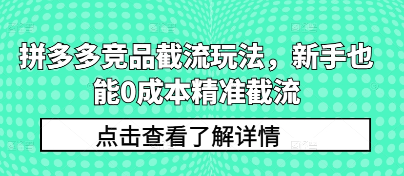 拼多多竞品截流玩法，新手也能0成本精准截流-枫客网创