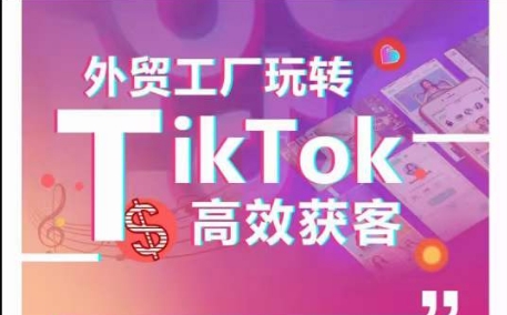 外贸工厂玩转TikTok高效获客，多种引流方式与账号定位技巧，拆解爆款短视频打造成功案例-枫客网创