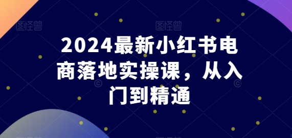 2024最新小红书电商落地实操课，从入门到精通-枫客网创