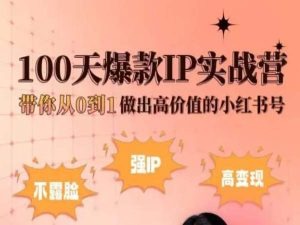 小红书100天爆款IP实战营，带你从0到1做出高价值的小红书号-枫客网创