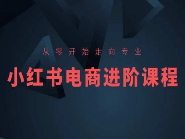 从零开始走向专业，小红书电商进阶课程-枫客网创