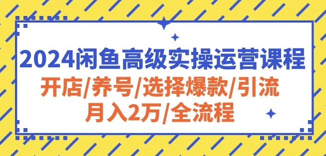 2024闲鱼高级实操运营课程：开店/养号/选择爆款/引流/月入2万/全流程-枫客网创