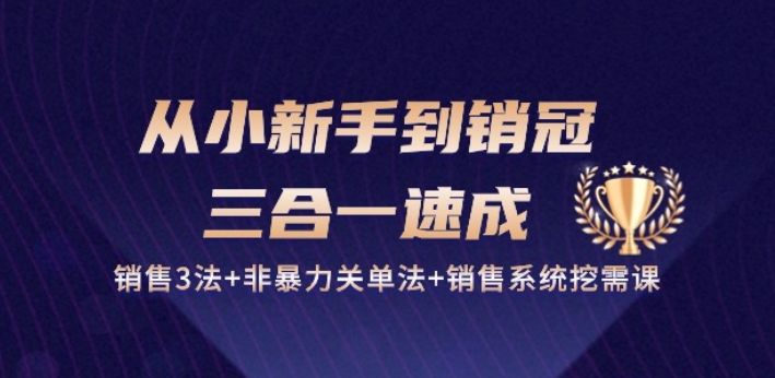 从小新手到销冠 三合一速成：销售3法+非暴力关单法+销售系统挖需课 (27节)-枫客网创