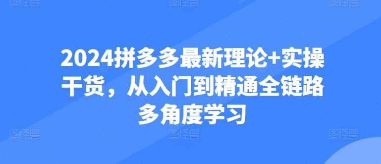 2024拼多多最新理论+实操干货，从入门到精通全链路多角度学习-枫客网创