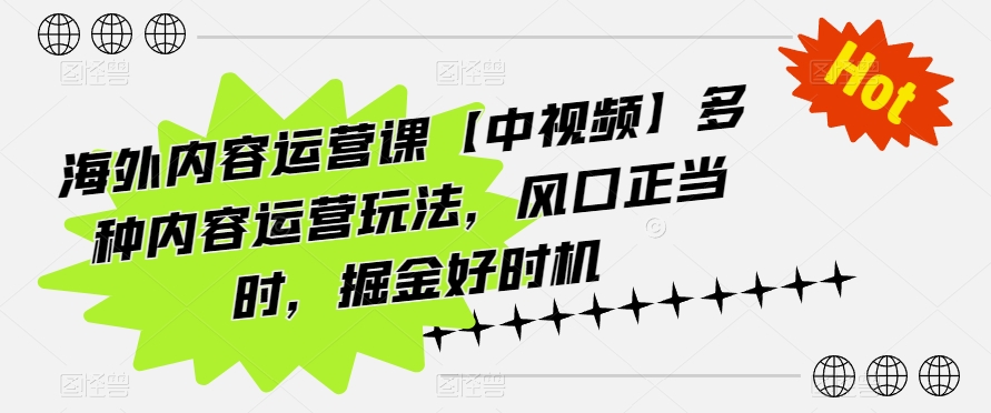 海外内容运营课【中视频】多种内容运营玩法，风口正当时，掘金好时机-枫客网创