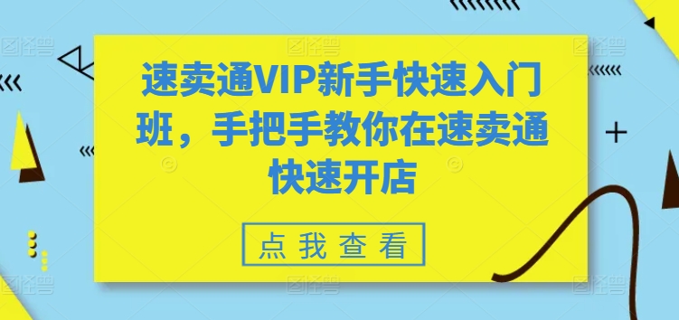 速卖通VIP新手快速入门班，手把手教你在速卖通快速开店-枫客网创