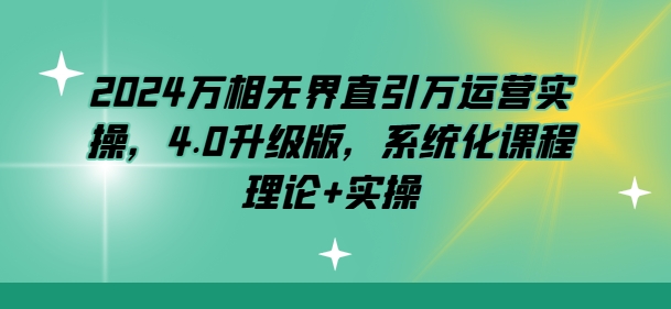 2024万相无界直引万运营实操，4.0升级版，系统化课程 理论+实操-枫客网创