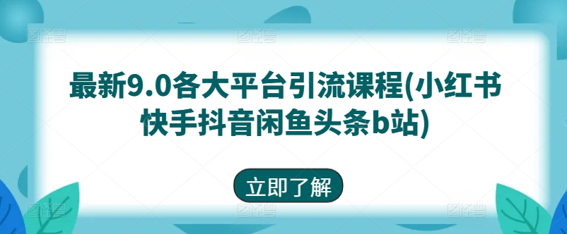 最新9.0各大平台引流课程(小红书快手抖音闲鱼头条b站)-枫客网创