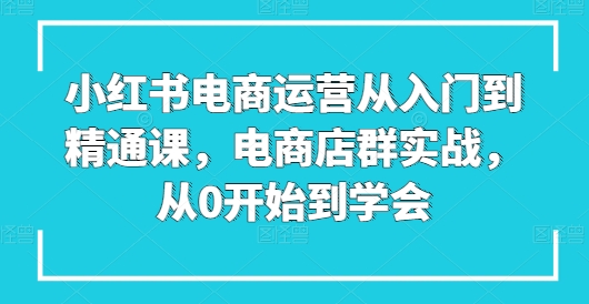 小红书电商运营从入门到精通课，电商店群实战，从0开始到学会-枫客网创