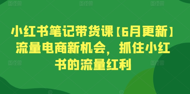 小红书笔记带货课【6月更新】流量电商新机会，抓住小红书的流量红利-枫客网创