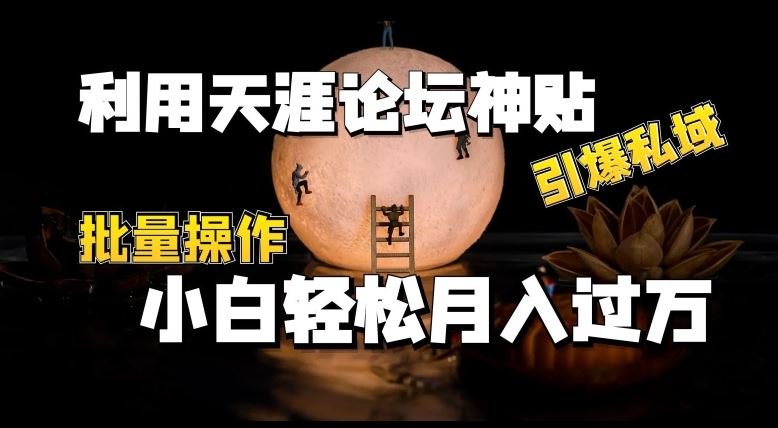 利用天涯论坛神贴，引爆私域，批量操作，小白轻松月入过w【揭秘】-枫客网创