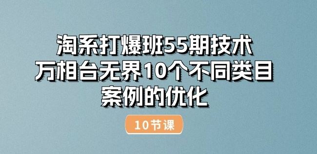 淘系打爆班55期技术：万相台无界10个不同类目案例的优化(10节)-枫客网创