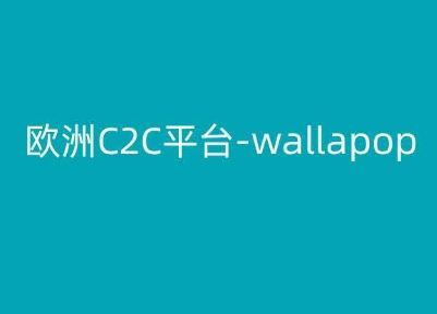 欧洲C2C平台-wallapop-kim跨境电商教程-枫客网创