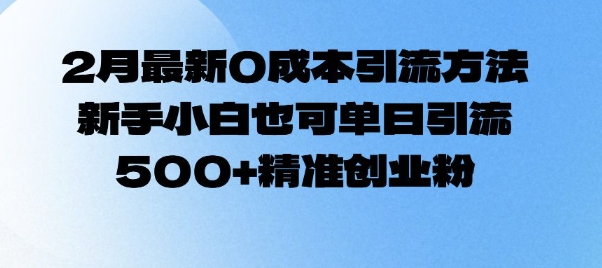 2月最新0成本引流方法，新手小白也可单日引流500+精准创业粉-枫客网创