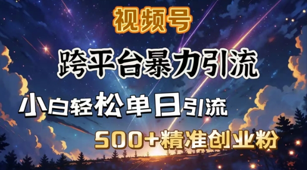 跨平台暴力引流，私域完美闭环，日引500+精准创业粉-枫客网创