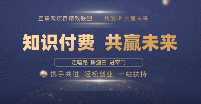 别人苦寻无果，为何他们靠知识付费卖项目 2025 年轻松年入100个?【揭秘】-枫客网创