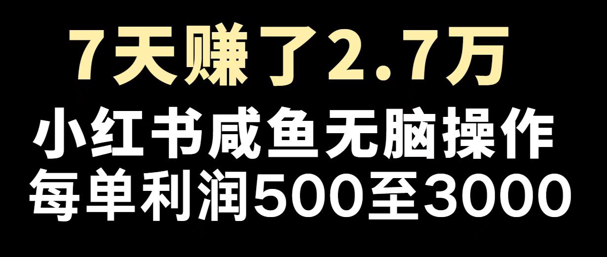 最赚钱项目之一，2025爆火，逆风翻盘！-枫客网创