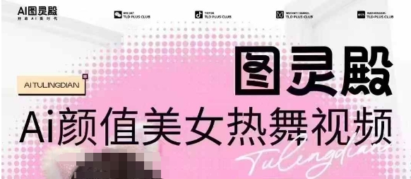 全网首发，原价988图灵殿AI颜值美女热舞视频，云端生图，轻松过原创-枫客网创