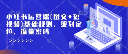 小红书运营课(图文+短视频)基础规则、策划定位、流量密码-枫客网创