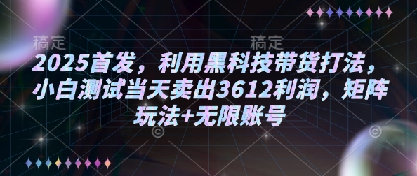 2025首发，利用黑科技带货打法，小白测试当天卖出3612利润，矩阵玩法+无限账号【揭秘】-枫客网创