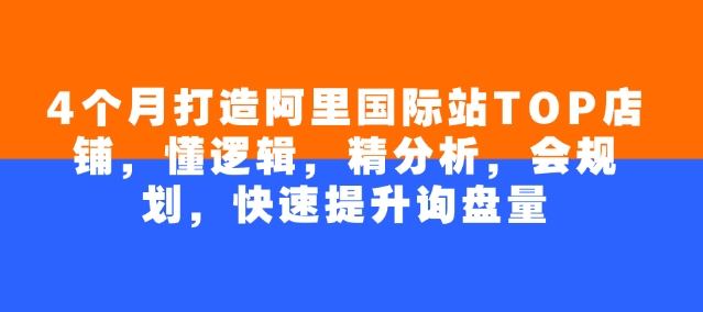 4个月打造阿里国际站TOP店铺，懂逻辑，精分析，会规划，快速提升询盘量-枫客网创