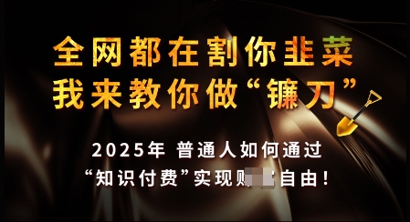 知识付费如何做到月入过W+，2025我来教你做“镰刀”【揭秘】-枫客网创